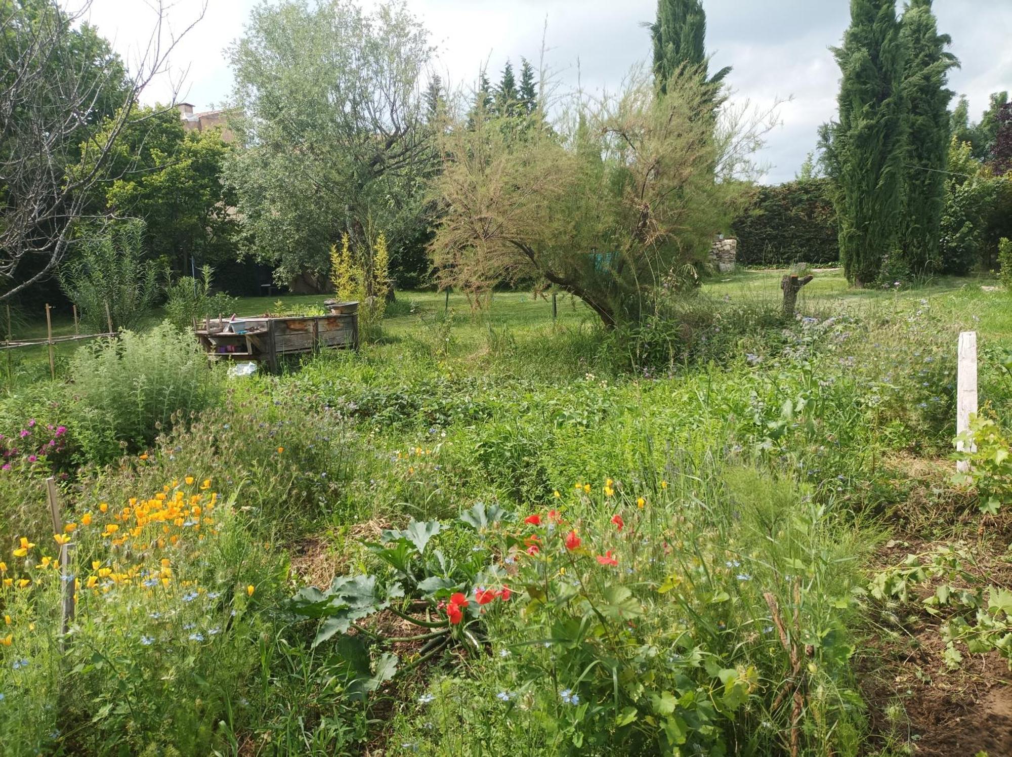 Bed and Breakfast Campagne de Pré Grand Saint-Étienne-les-Orgues Esterno foto